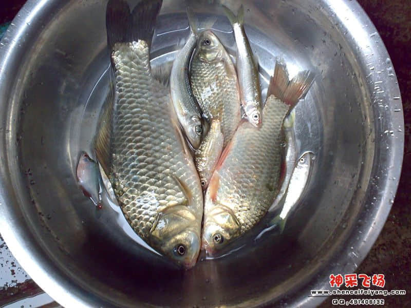 psb[11]_副本.jpg