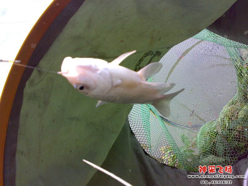 psb[21]_副本.jpg
