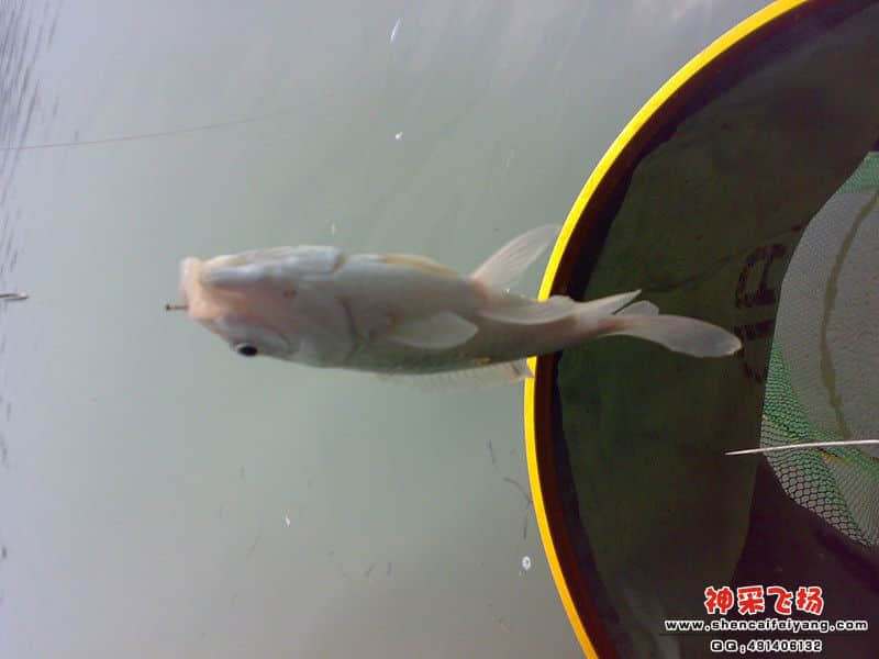 psb[39]_副本.jpg
