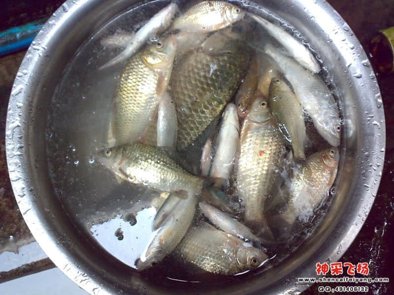 psb[42]_副本.jpg