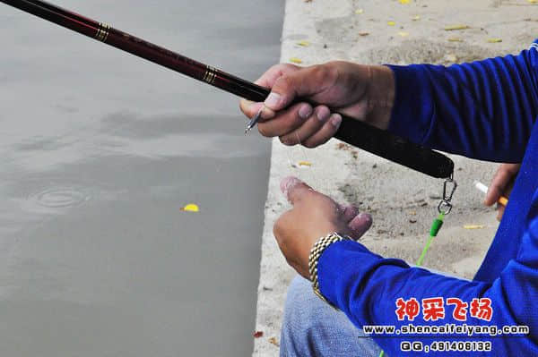 照片 265.jpg