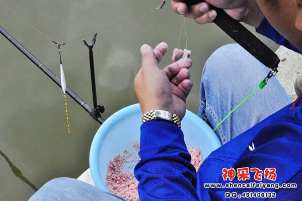 照片 272.jpg