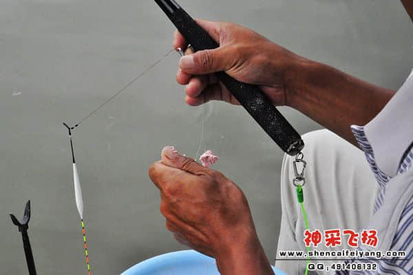 照片 307.jpg