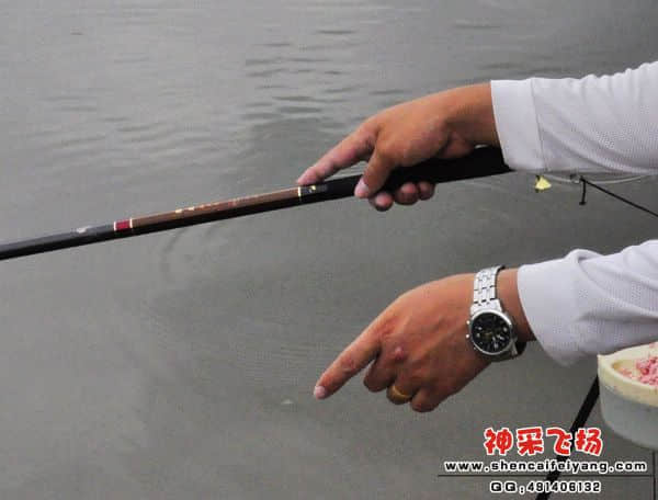 照片 411.jpg