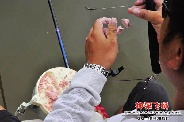 照片 415.jpg