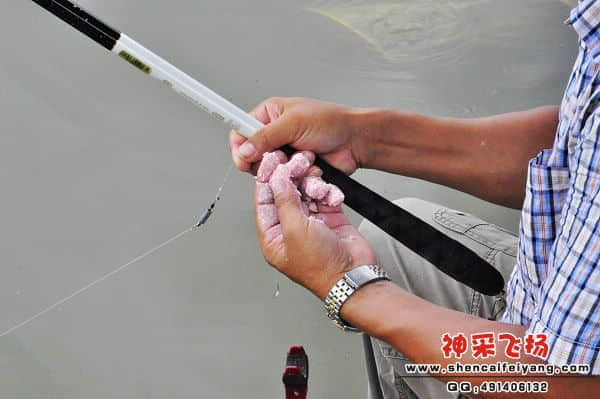 照片 480.jpg