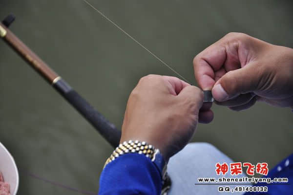 照片 922.jpg