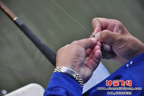 照片 927.jpg