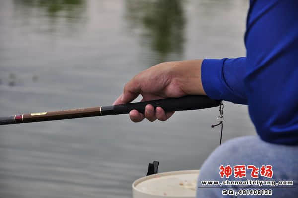 照片 986.jpg