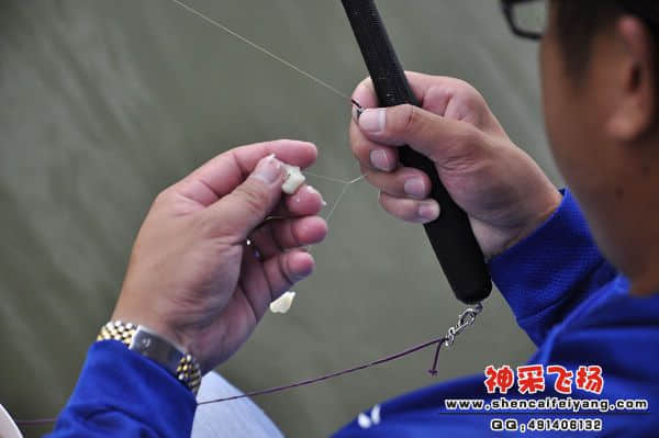 照片 937.jpg