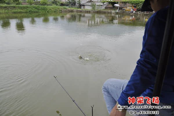 照片 285.jpg