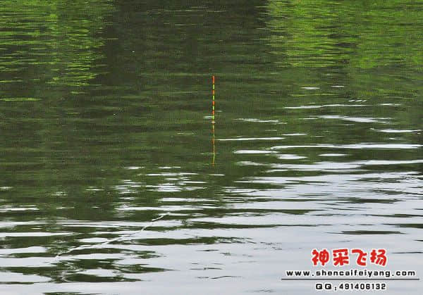 照片 309.jpg