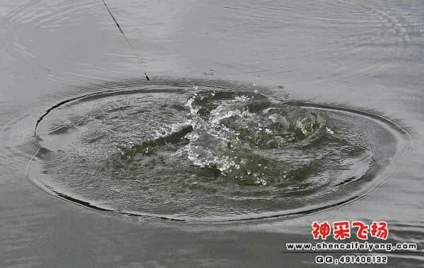 照片 098.jpg