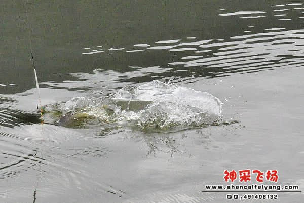 照片 103.jpg