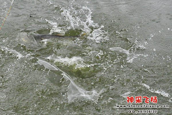 照片 110.jpg