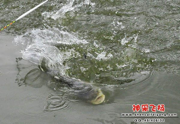 照片 133.jpg