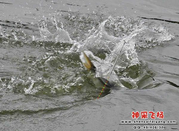 照片 243.jpg