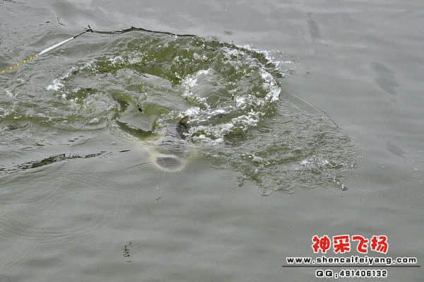 照片 246.jpg