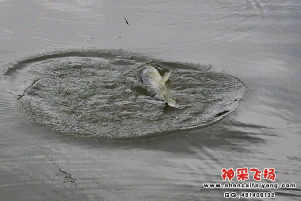 照片 097.jpg