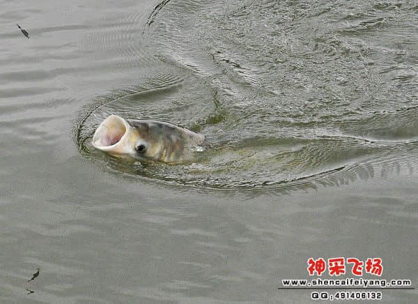 照片 144.jpg