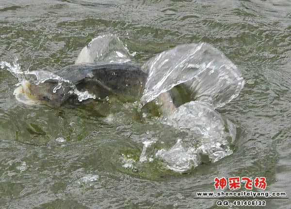 照片 156.jpg