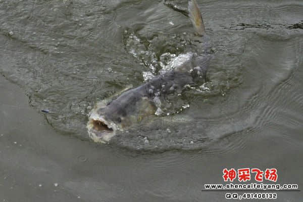 照片 252.jpg