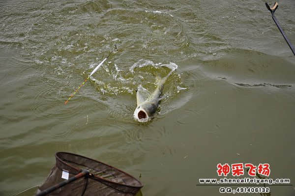 照片 292.jpg