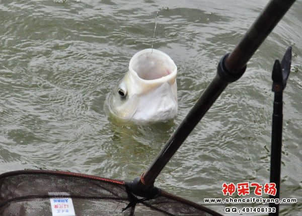 照片 595.jpg