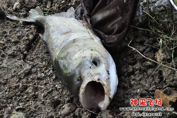 照片 606.jpg