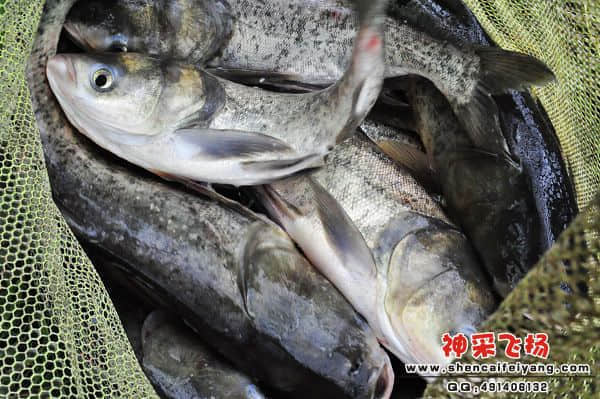 照片 667.jpg