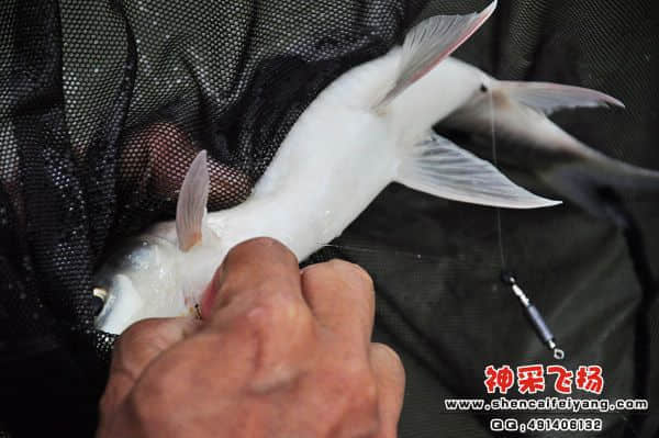 照片 793.jpg
