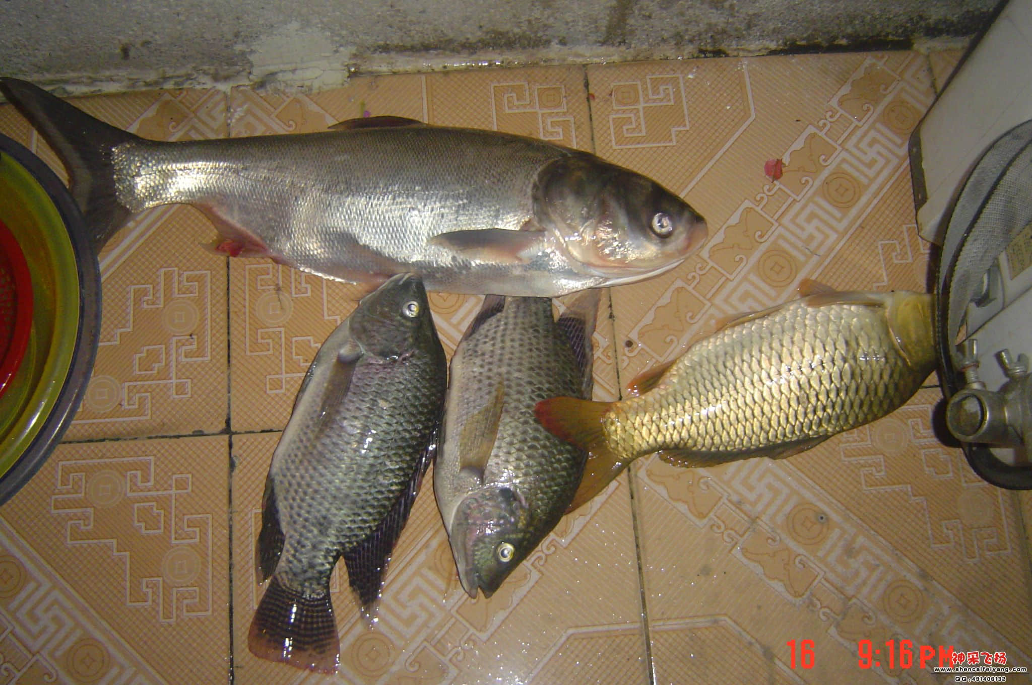 DSC07208.JPG