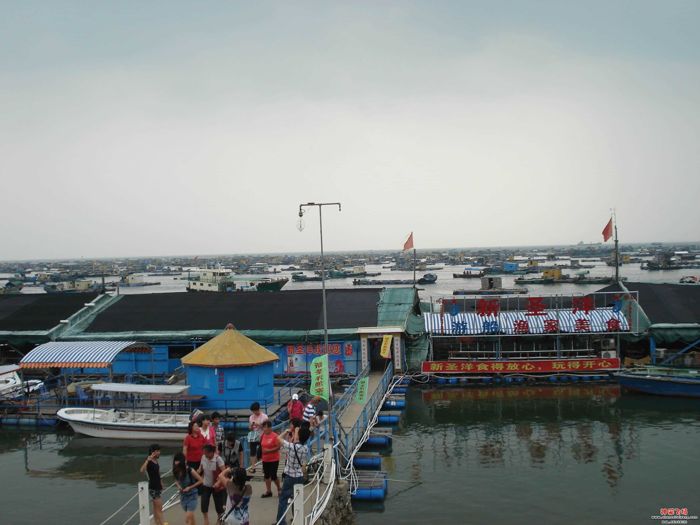 DSC02854.JPG