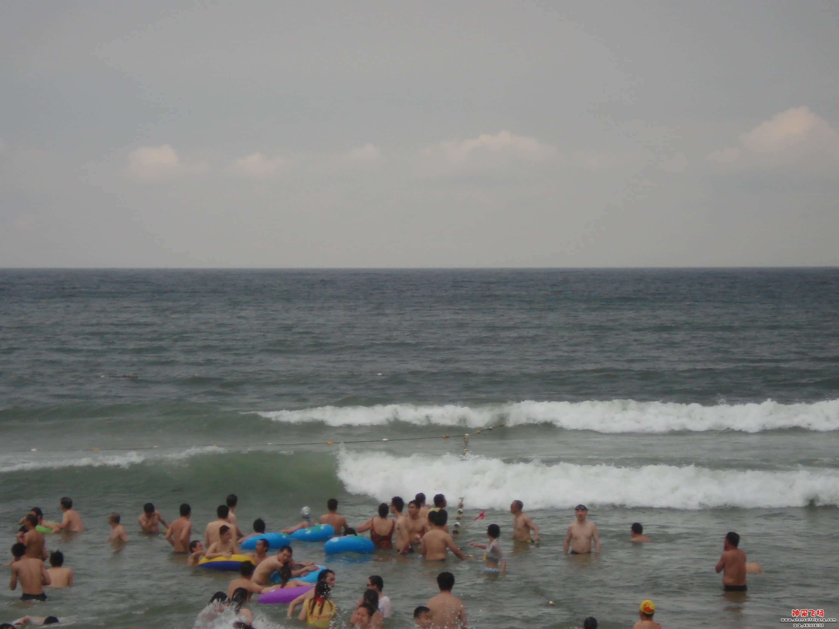 DSC02953.JPG