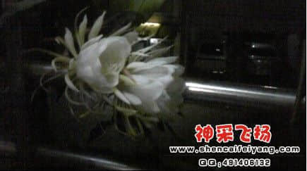未命名1.jpg
