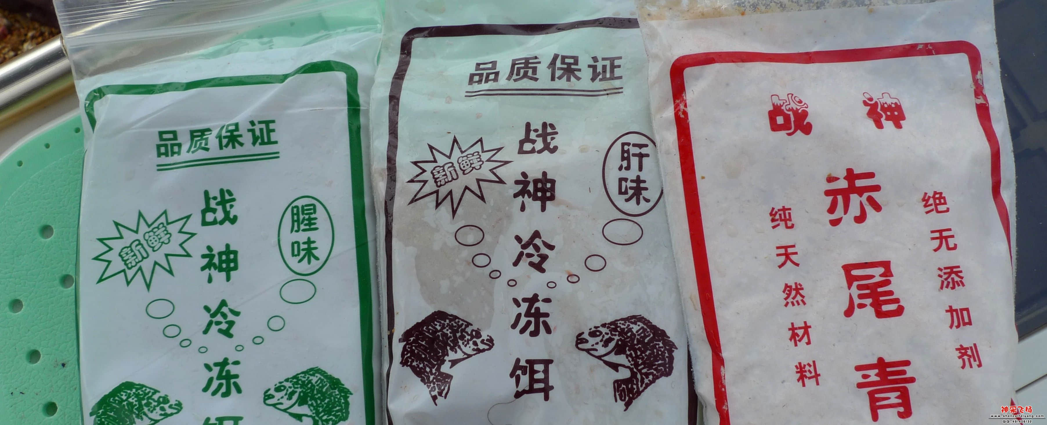 P1020641_conew1.JPG