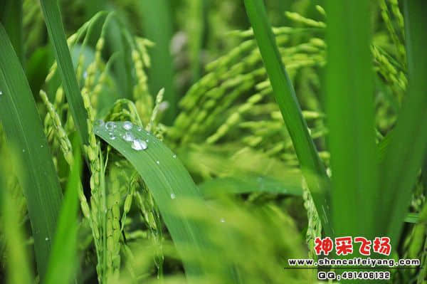 照片 015.jpg