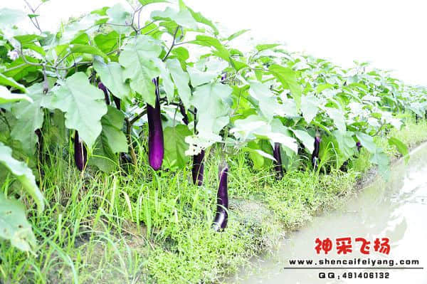 照片 079.jpg