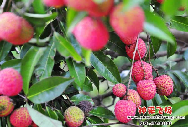 照片 107.jpg