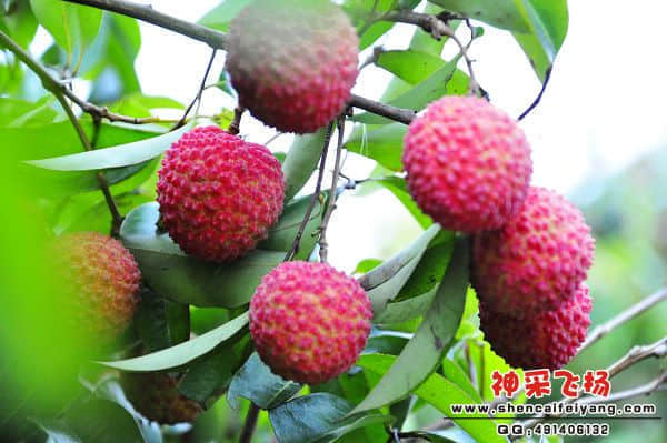 照片 087.jpg