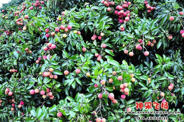 照片 156.jpg