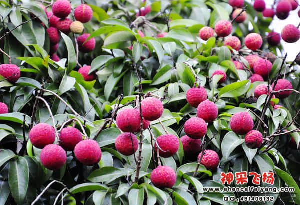 照片 164.jpg