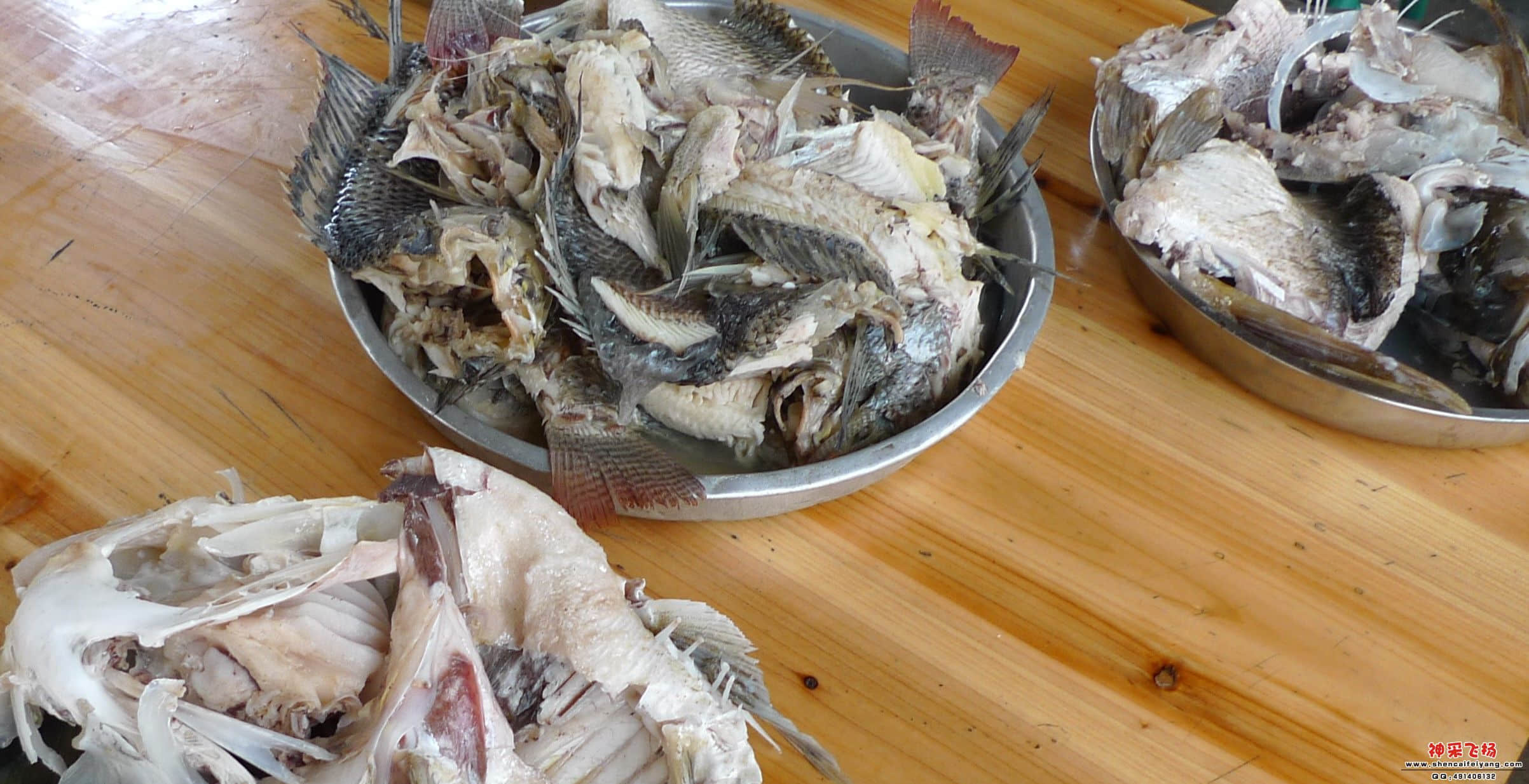 P1020702_conew1.JPG