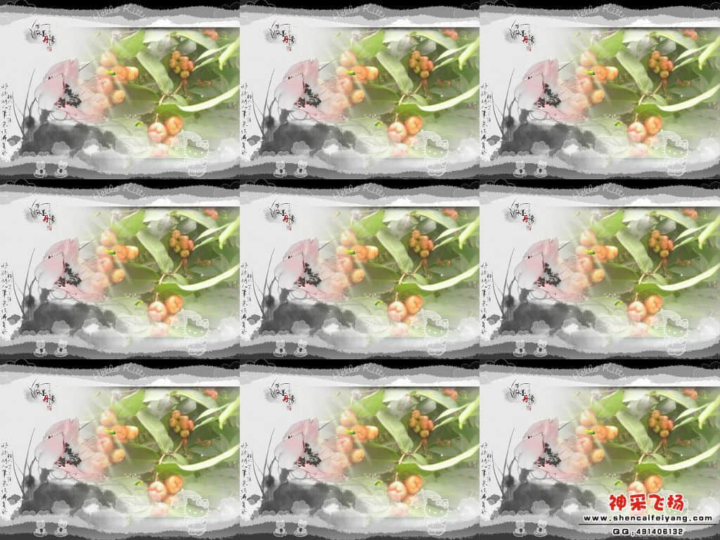 2.jpg