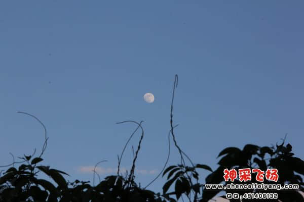 IMG_8941.JPG