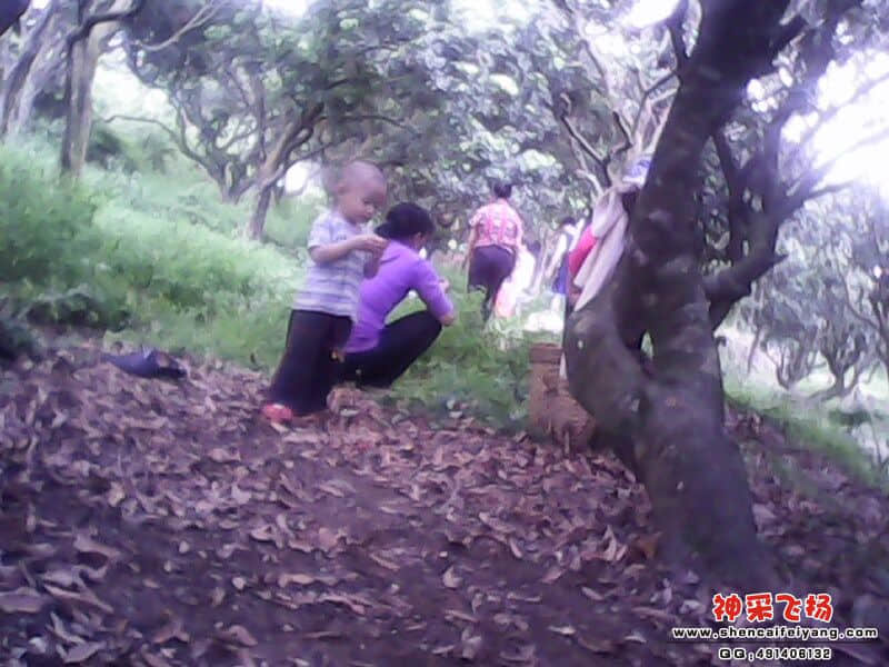 IMG0118A.jpg