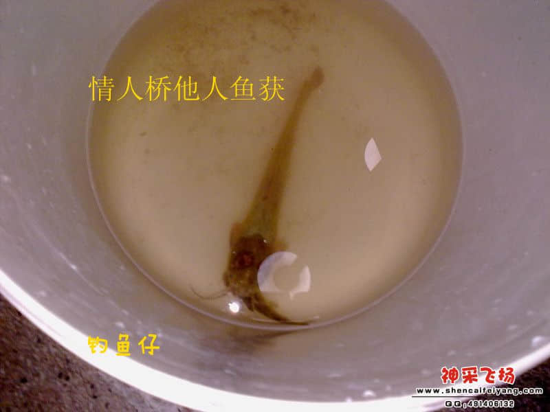 201207031646_副本.jpg