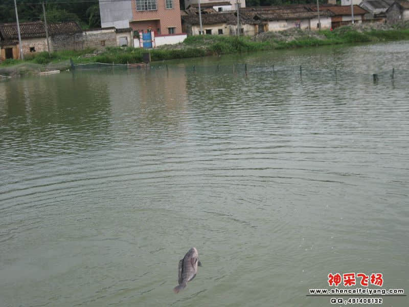 大非入塘全景.jpg