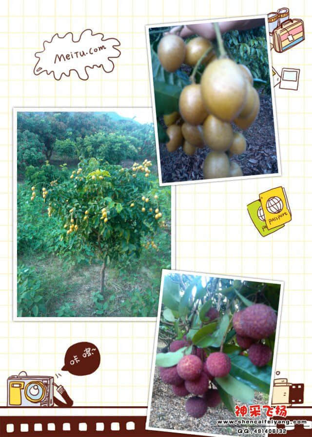 拼图2012_07_08_07_34_30.jpg