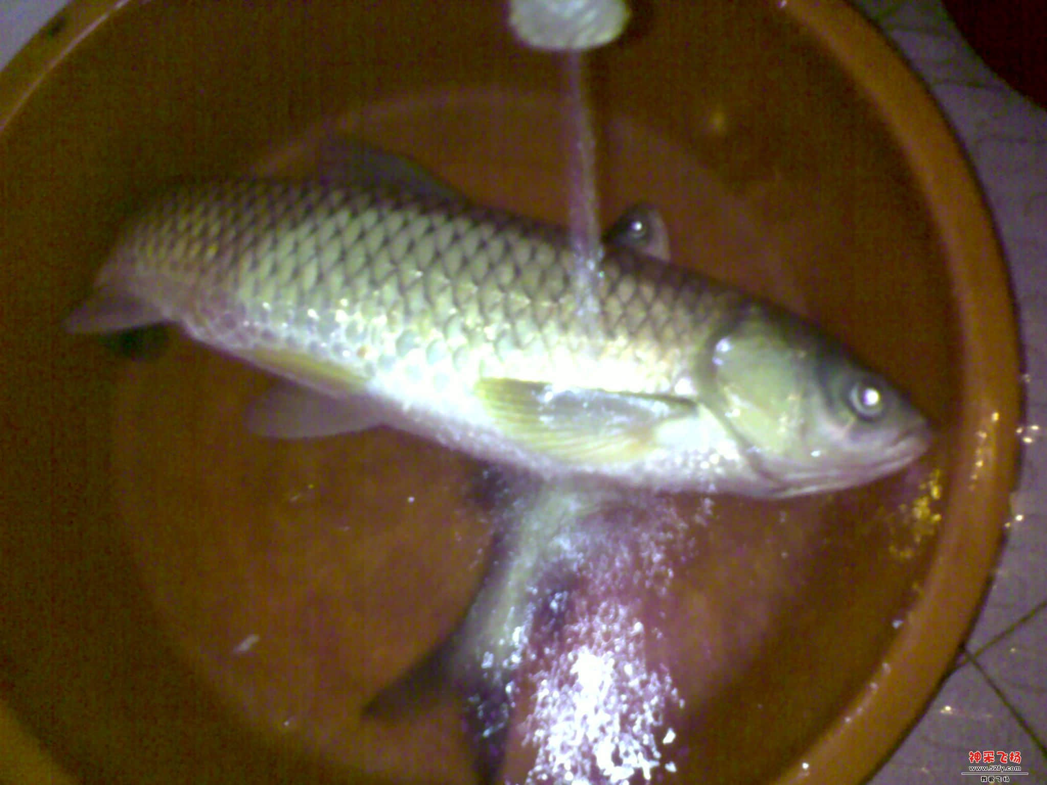 201207081945.jpg